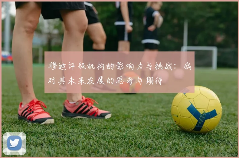 穆迪评级机构的影响力与挑战：我对其未来发展的思考与期待