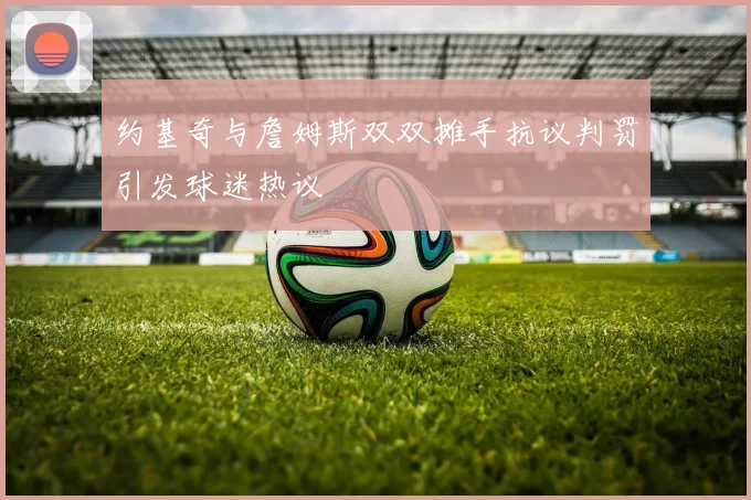 约基奇与詹姆斯双双摊手抗议判罚引发球迷热议