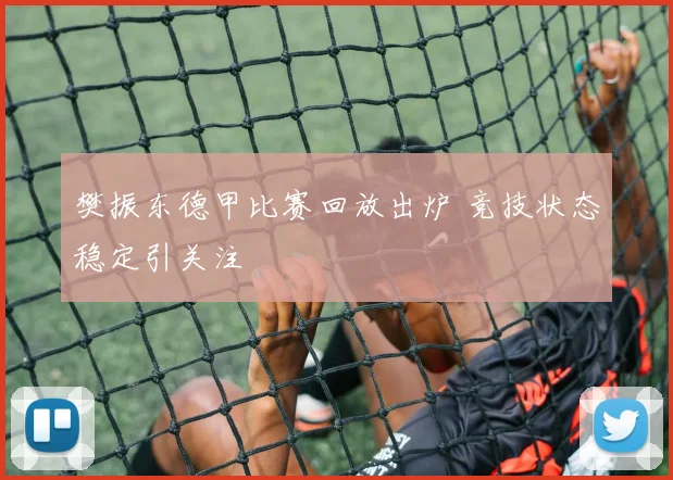 樊振东德甲比赛回放出炉 竞技状态稳定引关注