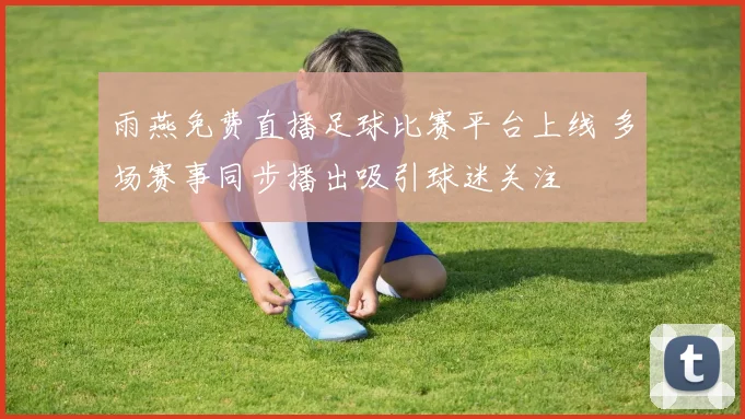 雨燕免费直播足球比赛平台上线 多场赛事同步播出吸引球迷关注
