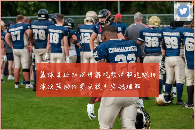 篮球基础知识讲解视频详解运球传球投篮动作要点提升实战理解