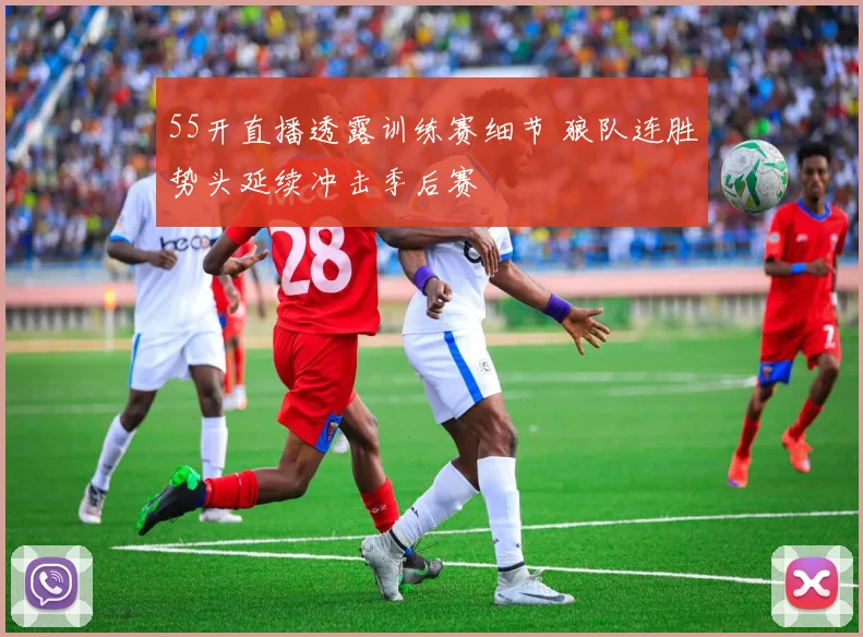 55开直播透露训练赛细节 狼队连胜势头延续冲击季后赛