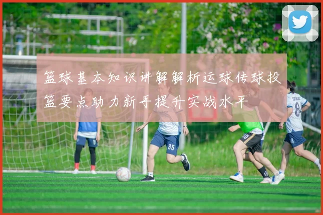 篮球基本知识讲解解析运球传球投篮要点助力新手提升实战水平